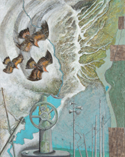 Bird's‐eye view