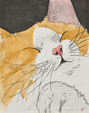 うちの猫〜春うらら