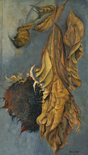 ���@�i�T�j