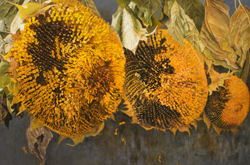 �^�ẴV���t�H�j�[