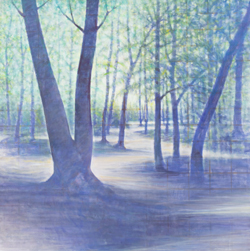 癒しの森に芽吹きの春