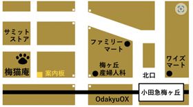 Gallery来舎KIYA梅猫庵